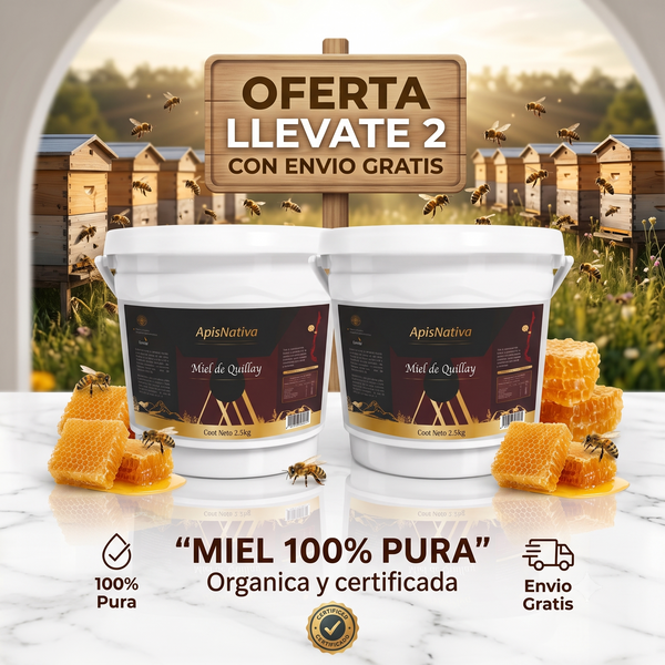 2 Baldes de Miel Pura + Envío Gratis